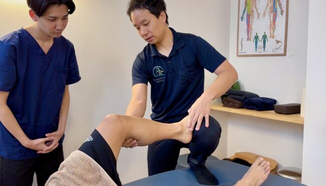 アクセサリ | Wapex｜株式会社ジオナ